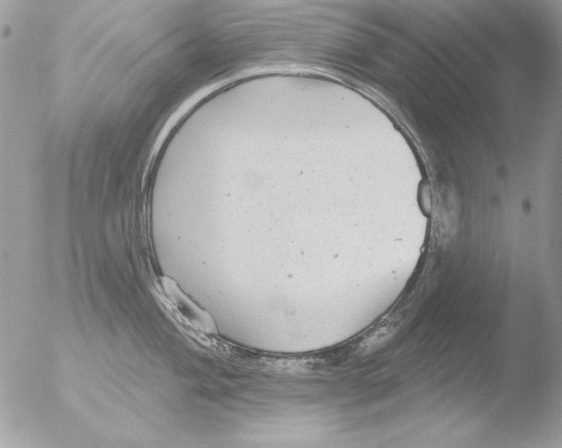 X0000051261004200507152211