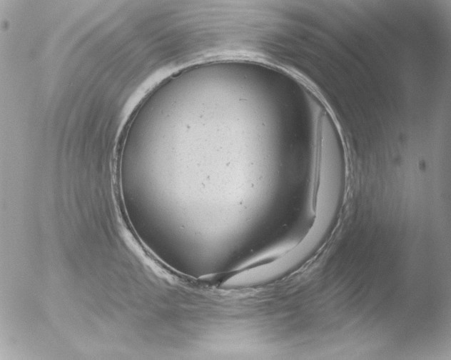 X0000051261005200507152211