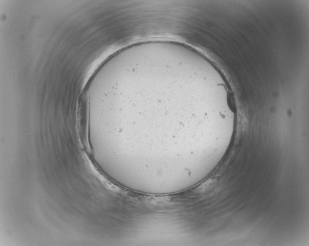 X0000051261006200507152211