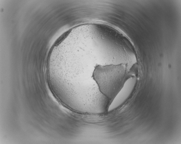 X0000051261007200507152211