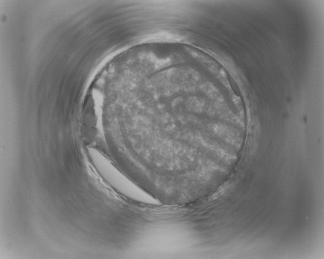 X0000051261008200507152210