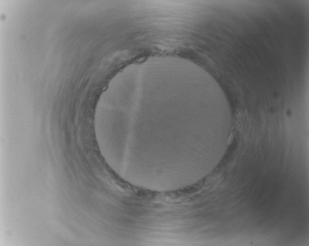 X0000051261009200507152210