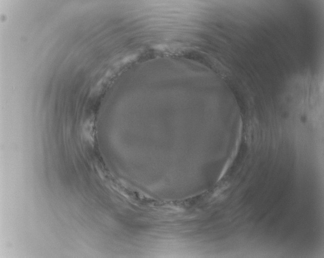 X0000051261010200507152210