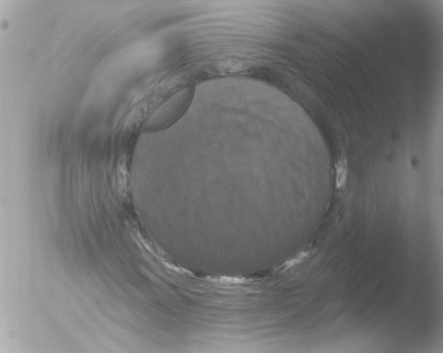 X0000051261011200507152210