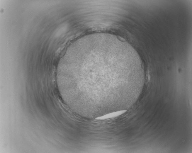 X0000051261012200507152210