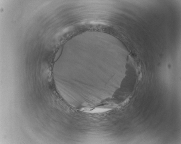 X0000051261013200507152210