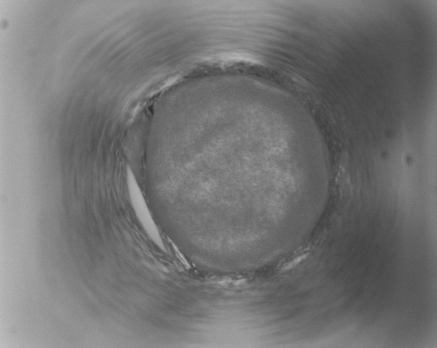 X0000051261014200507152210