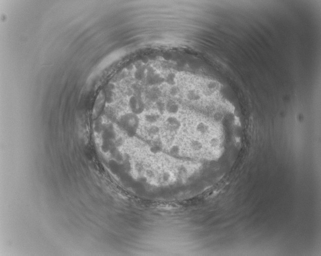 X0000051261015200507152210