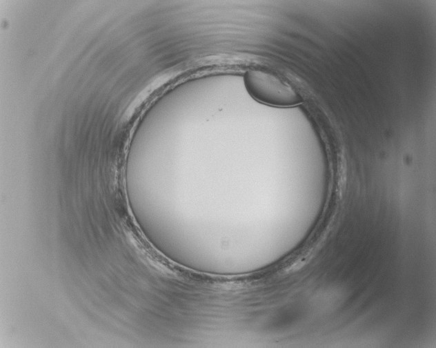 X0000051261017200507152210