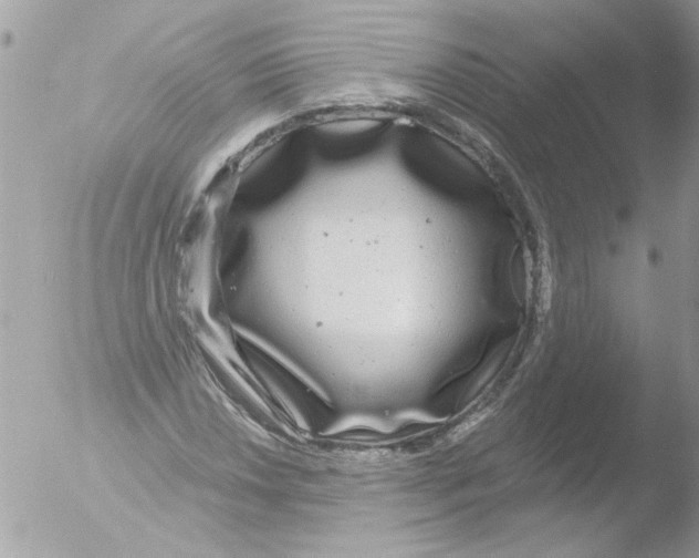 X0000051261018200507152210