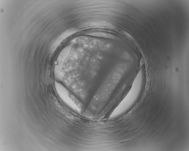 X0000051261019200507152210