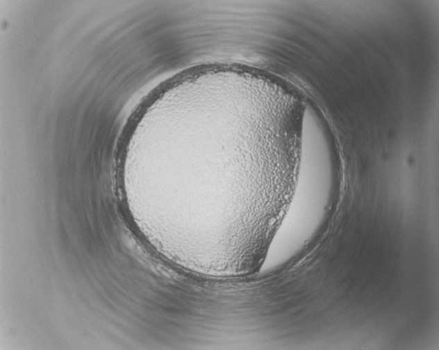 X0000051261020200507152210