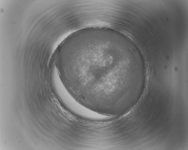 X0000051261022200507152210