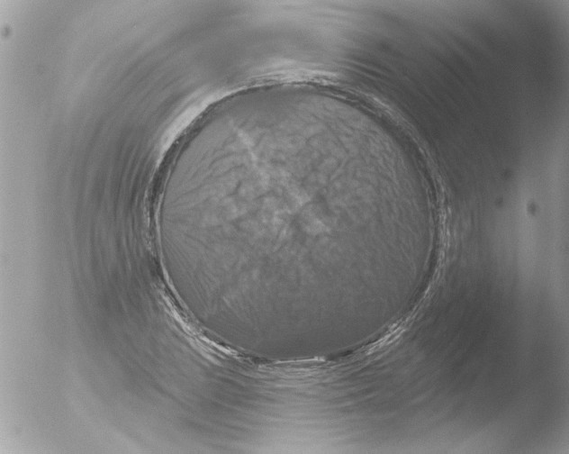 X0000051261023200507152210