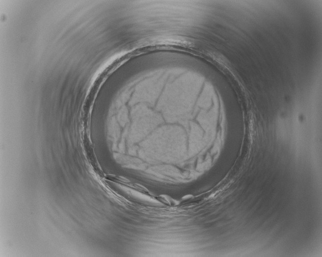 X0000051261024200507152210