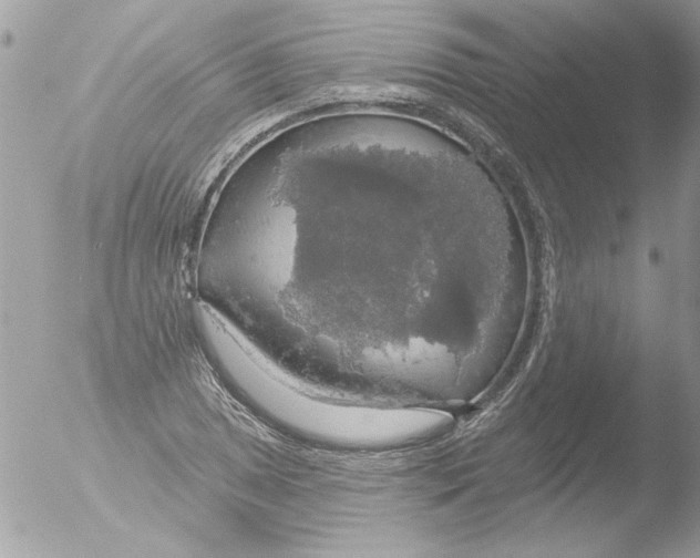 X0000051261025200507152210