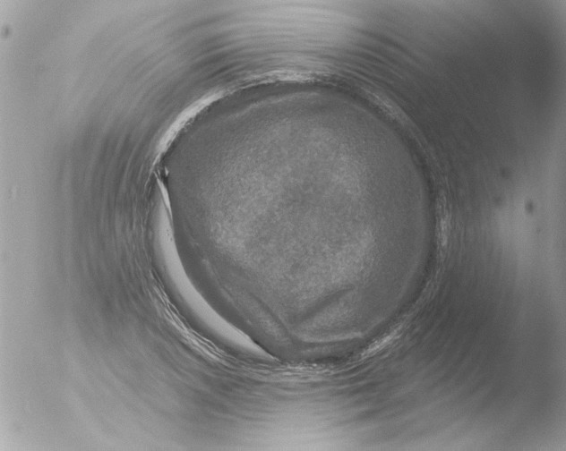 X0000051261026200507152210