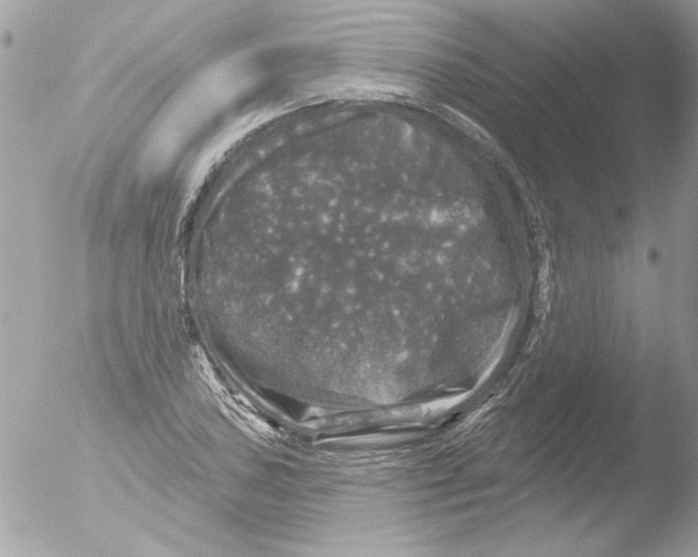 X0000051261027200507152210