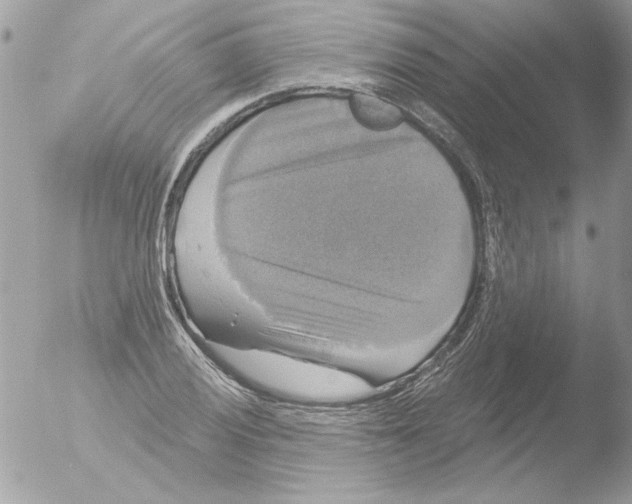 X0000051261028200507152210