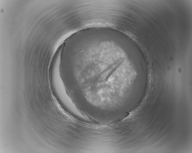 X0000051261030200507152210