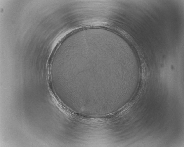 X0000051261031200507152210