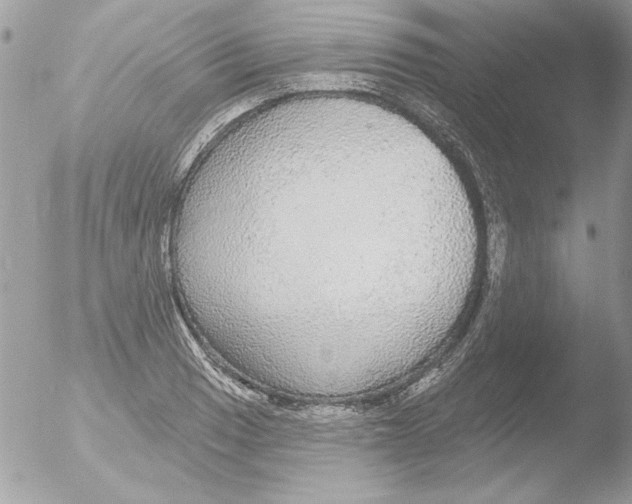 X0000051261033200507152210