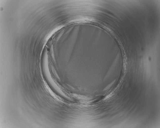 X0000051261034200507152210