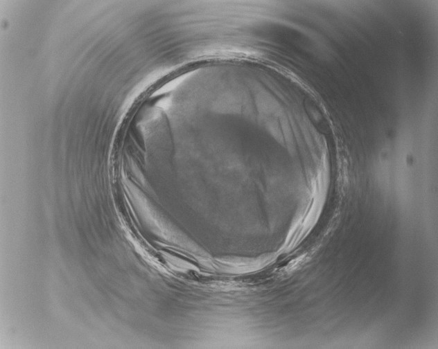 X0000051261037200507152210