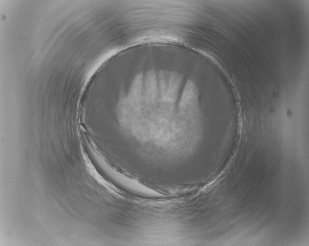 X0000051261038200507152210