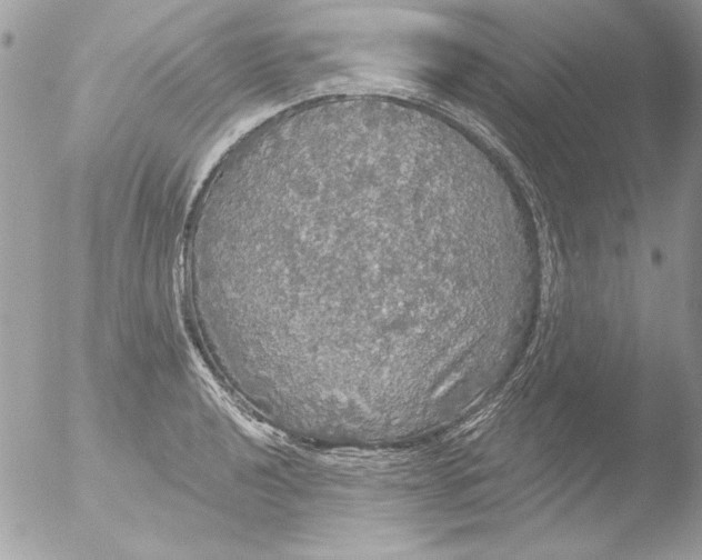 X0000051261040200507152210