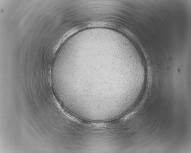 X0000051261041200507152210