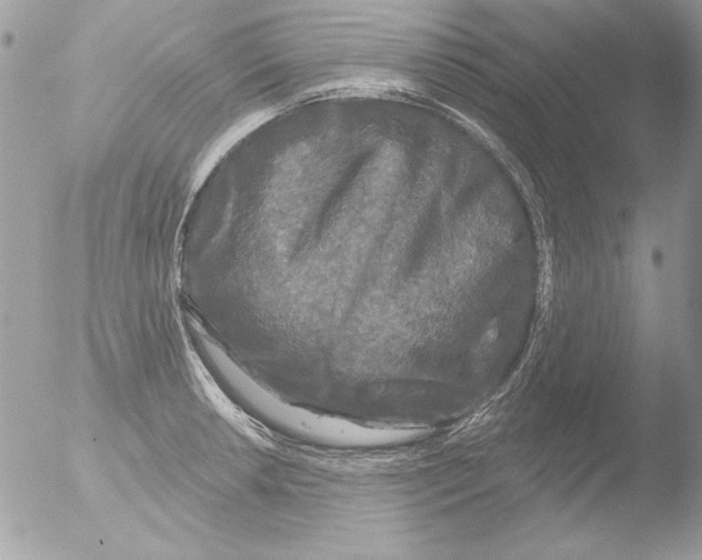 X0000051261042200507152210