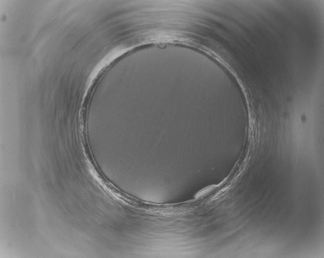 X0000051261045200507152210