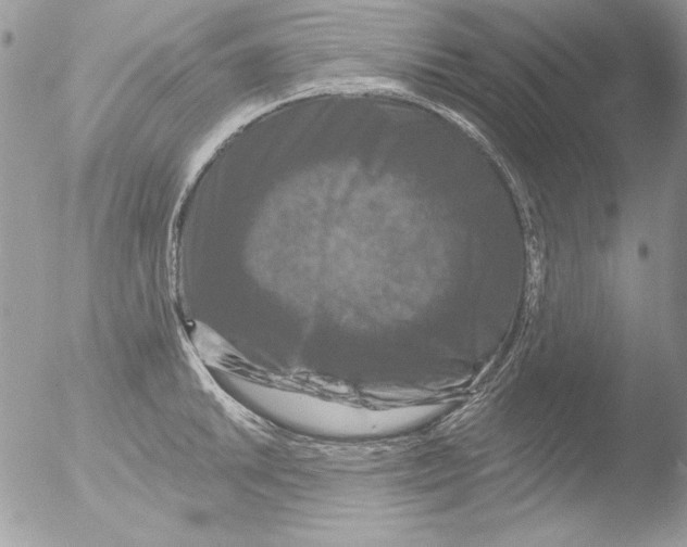 X0000051261046200507152210