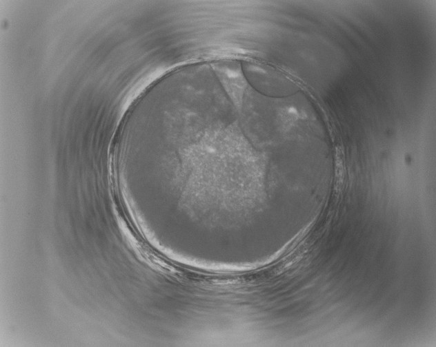 X0000051261047200507152210