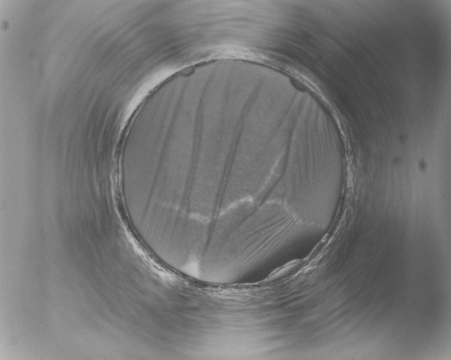 X0000051261048200507152210