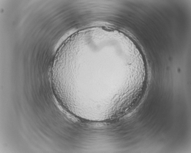 X0000051261049200507152210