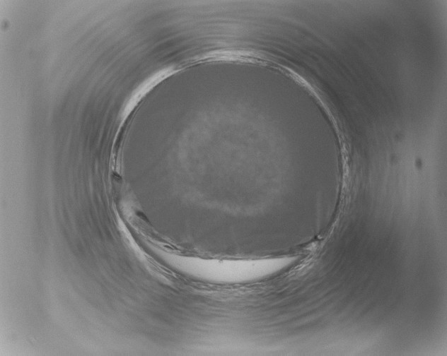 X0000051261050200507152210