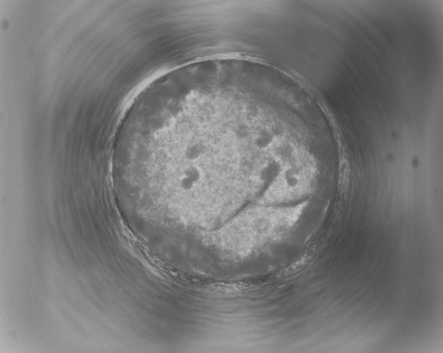 X0000051261051200507152210