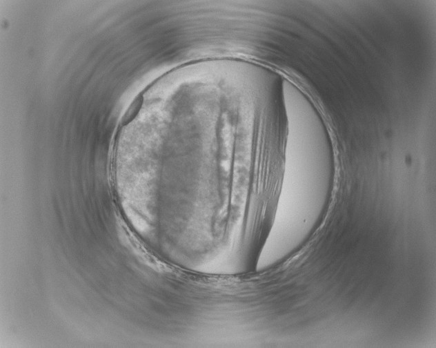 X0000051261052200507152210