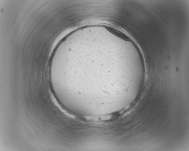 X0000051261053200507152210