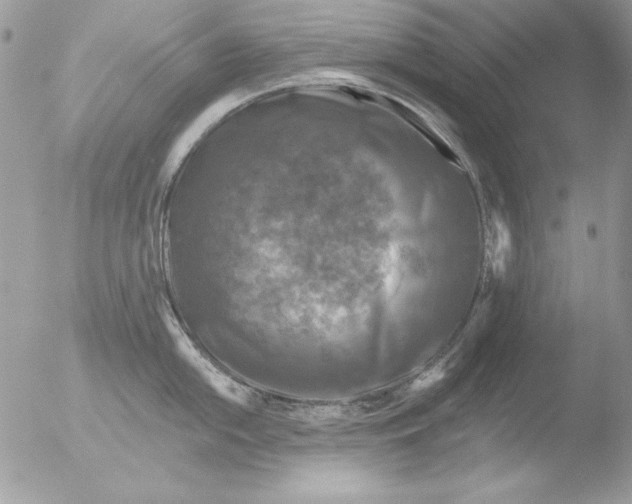 X0000051261054200507152210