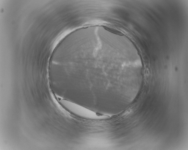 X0000051261055200507152210