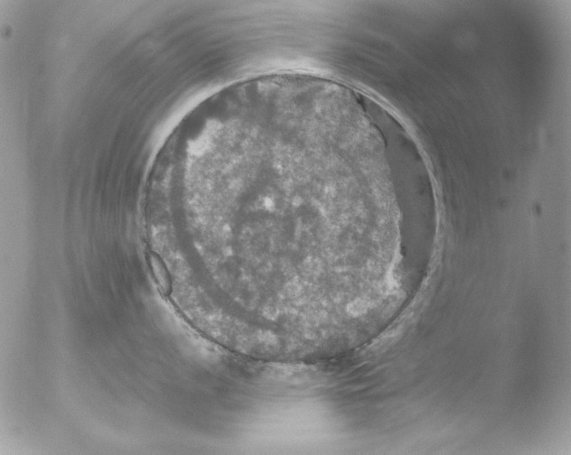 X0000051261056200507152210