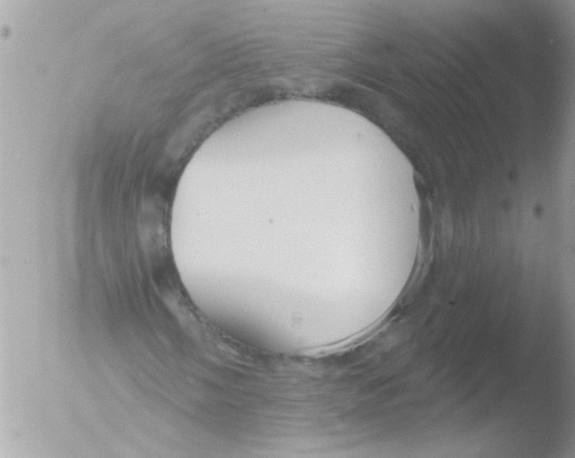 X0000051261058200507152210