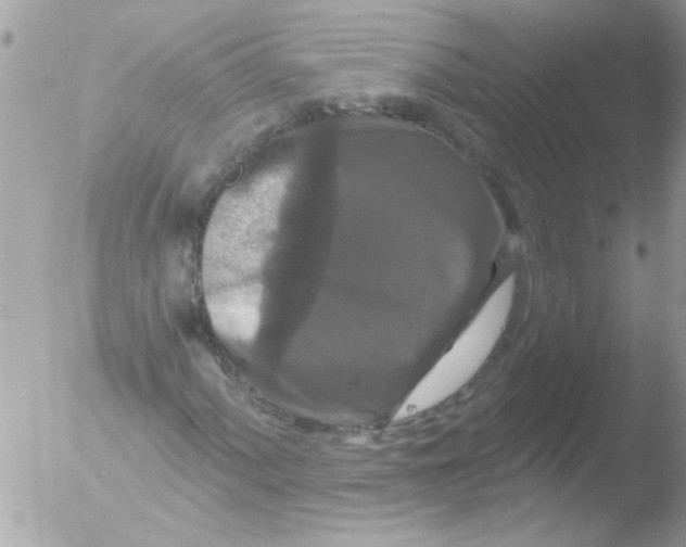 X0000051261060200507152210