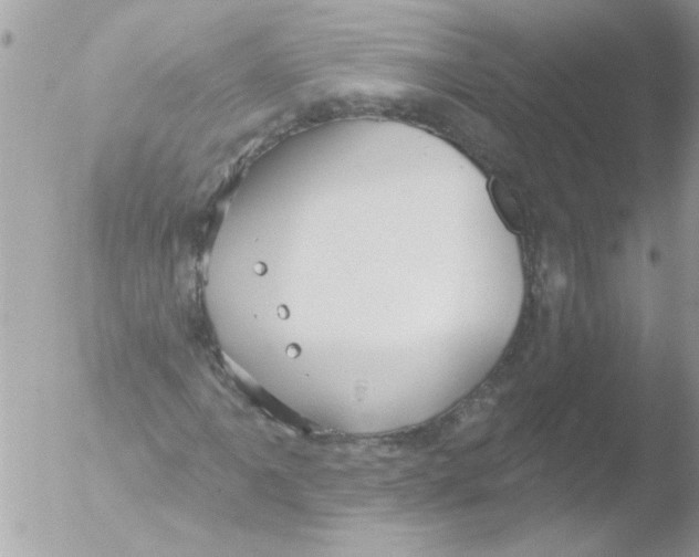 X0000051261061200507152210