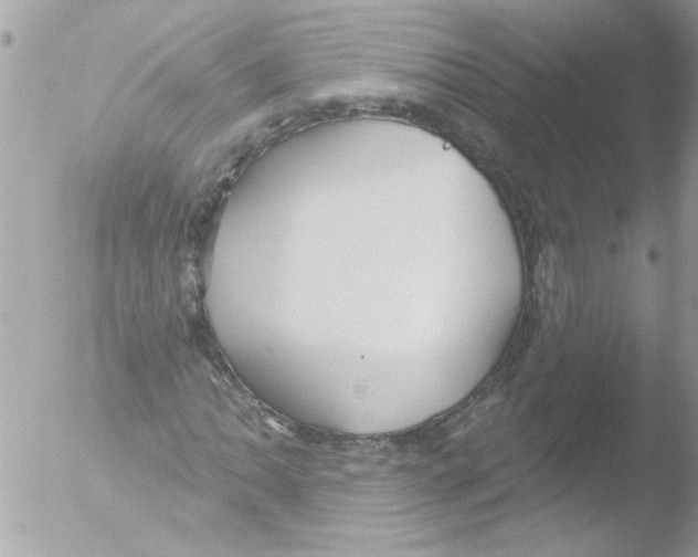 X0000051261062200507152210