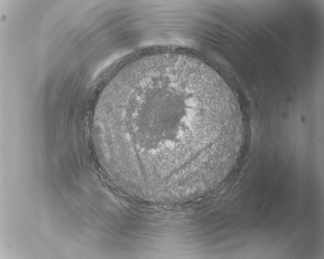 X0000051261064200507152210