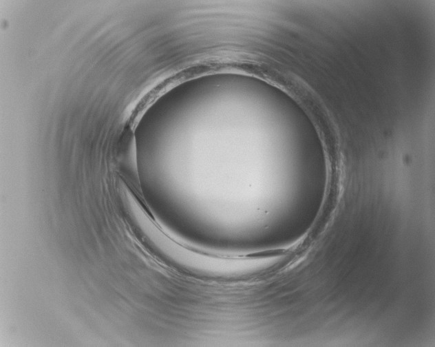 X0000051261065200507152210